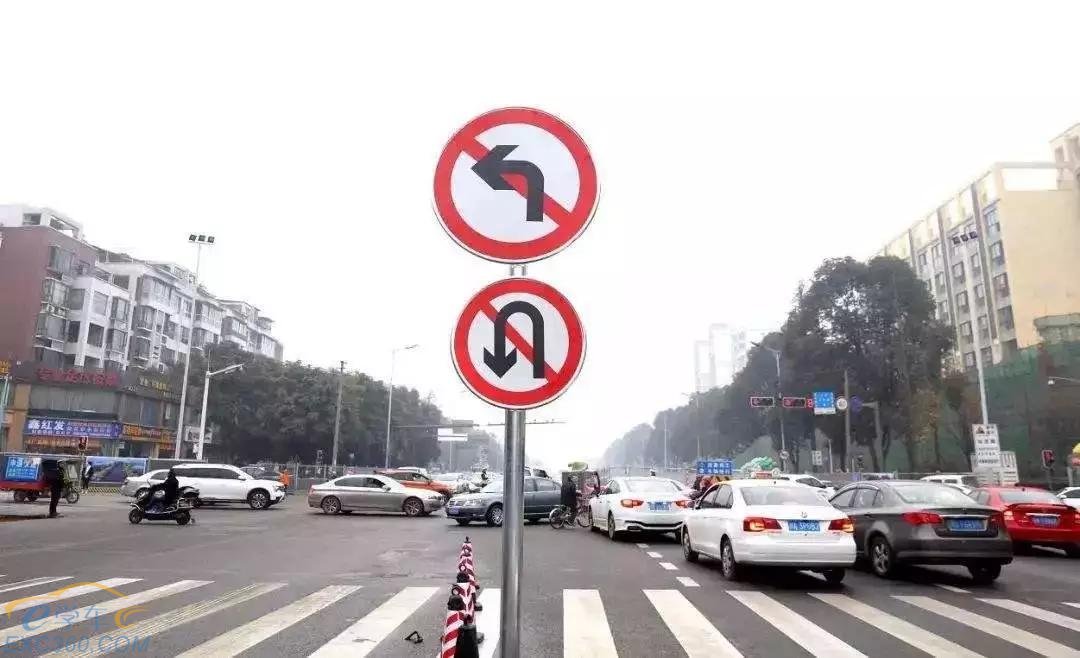 网友提问：电子驾照可换照片？行人横穿马路被撞，责任如何划分？